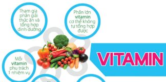 Vitamin là gì?