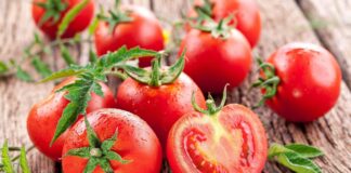 Những lợi ích khi ăn cà chua