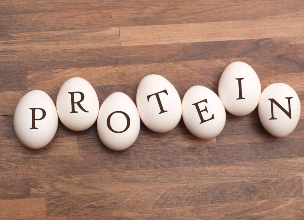 ăn nhiều protein có mập không