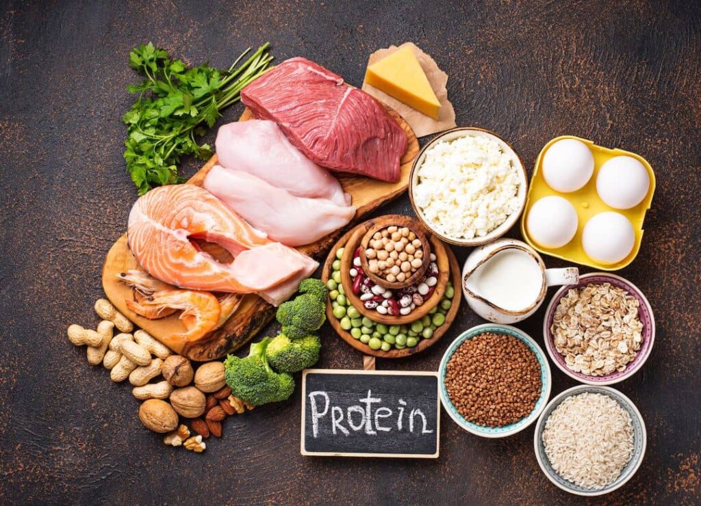 ăn nhiều protein có mập không